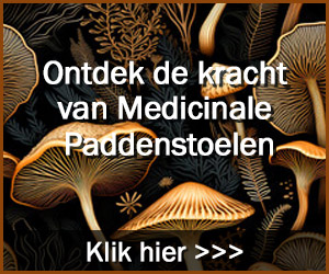 https://www.ninefornews.nl/wp-content/a-d-s/202-marcelurgertninefornewsnl-1707926834-vitaal-therapie-300x250.jpg