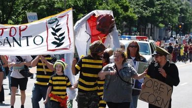 Het is voorbij voor Monsanto. Wordt Dewayne Johnson de David die Goliath velt?