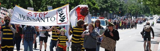 Het is voorbij voor Monsanto. Wordt Dewayne Johnson de David die Goliath velt?