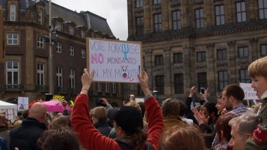 Advocaten hebben explosieve documenten over Monsanto in Europa. Dit kun je verwachten