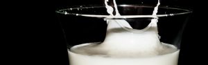 Mythe rond melk drinken ontkracht. Onderzoeksteam Erasmus MC doet opmerkelijke ontdekking