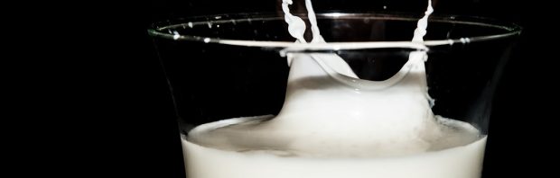 Mythe rond melk drinken ontkracht. Onderzoeksteam Erasmus MC doet opmerkelijke ontdekking