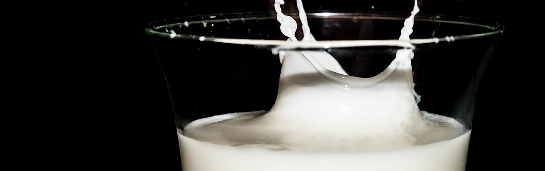 Mythe rond melk drinken ontkracht. Onderzoeksteam Erasmus MC doet opmerkelijke ontdekking