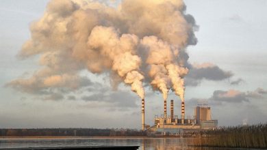 Als mensen dit wisten over het onzinnige Klimaatakkoord, dan zou er een revolutie uitbreken. Twee hoogleraren doen dringende oproep