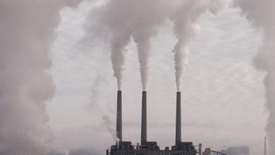 Politieke elites vermijden discussie over CO2. Kunnen ze de waarheid niet aan?