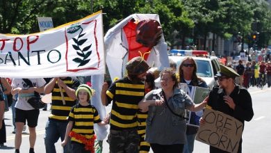 Pijnlijke nederlaag: Bayer (Monsanto) verliest miljarden nadat opnieuw een jury bepaalt dat Roundup kanker veroorzaakt. Hier spuiten we rustig door