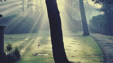 Zes op de 10 mensen zien overleden geliefden. Dit is de reden waarom we er zo weinig over horen