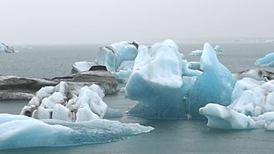 Alle grote leugens rond klimaatverandering gedebunkt. Lees dit onthullende interview