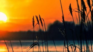 Zeer merkwaardige zonsondergang leidt tot theorieën over aliens. Bekijk de foto's