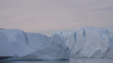 Al Gore, die voorspelde dat de Noordpool in 2016 ijsvrij zou zijn, krijgt tonnen om 'klimaattraining' te geven in Australië. Dan valt er ineens zeldzame sneeuw