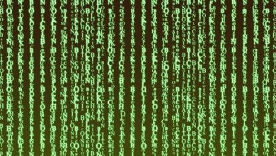 De film The Matrix is geen sciencefiction, maar een documentaire. Waarom je eerste 7 levensjaren bepalend zijn voor je toekomst