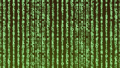 De film The Matrix is geen sciencefiction, maar een documentaire. Waarom je eerste 7 levensjaren bepalend zijn voor je toekomst