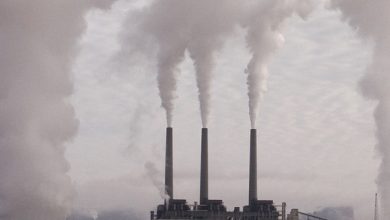 Als CO2 de oorzaak van de opwarming is, zou de temperatuur geleidelijk moeten stijgen, maar dat gebeurt niet. Lees dit interessante gesprek