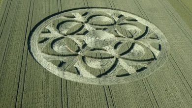 Diep onder de indruk: deze enorme graancirkel verscheen van de ene op de andere dag in Zwitserland