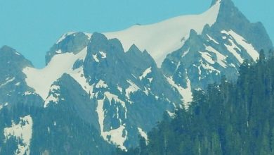 'Spaceshuttle-UFO' vastgelegd in Washington. Fotograaf doet onverwachte ontdekking