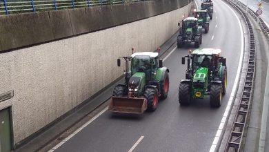 Boeren doelbewust de nek omgedraaid. Dit is het enige echte verhaal achter de halvering van de veestapel