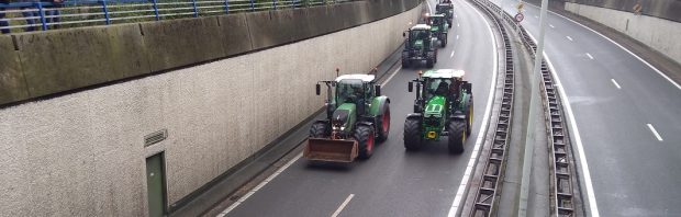 Boeren doelbewust de nek omgedraaid. Dit is het enige echte verhaal achter de halvering van de veestapel