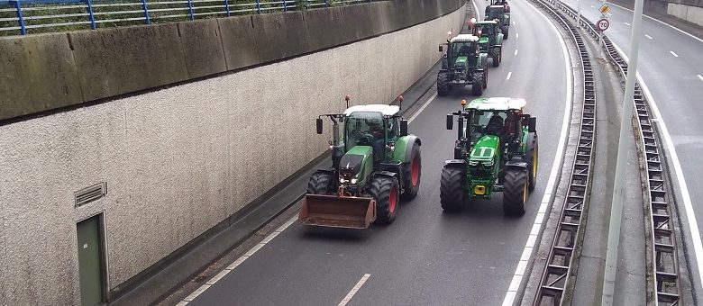 Boeren doelbewust de nek omgedraaid. Dit is het enige echte verhaal achter de halvering van de veestapel