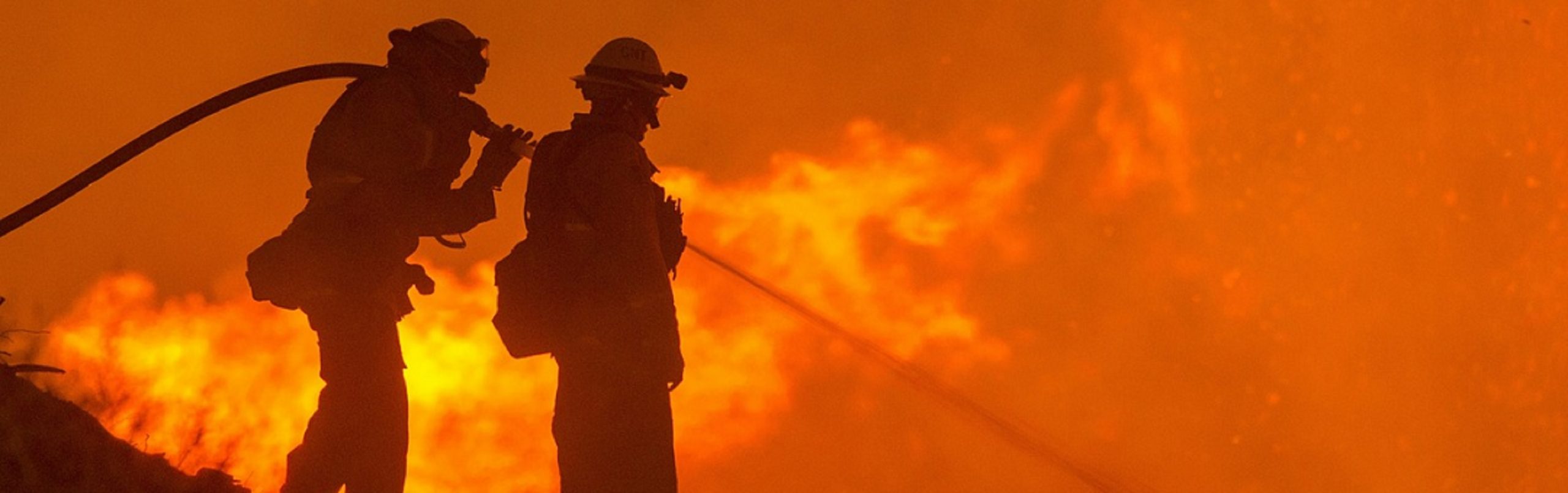 Bosbranden in Australië veroorzaakt door klimaatverandering of groen beleid? Dit is de bittere realiteit