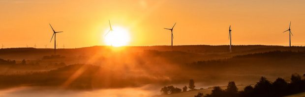 Energietransitie wordt fiasco van 4600 miljard euro. Deze professor waarschuwt voor ‘economische en ecologische nachtmerrie’