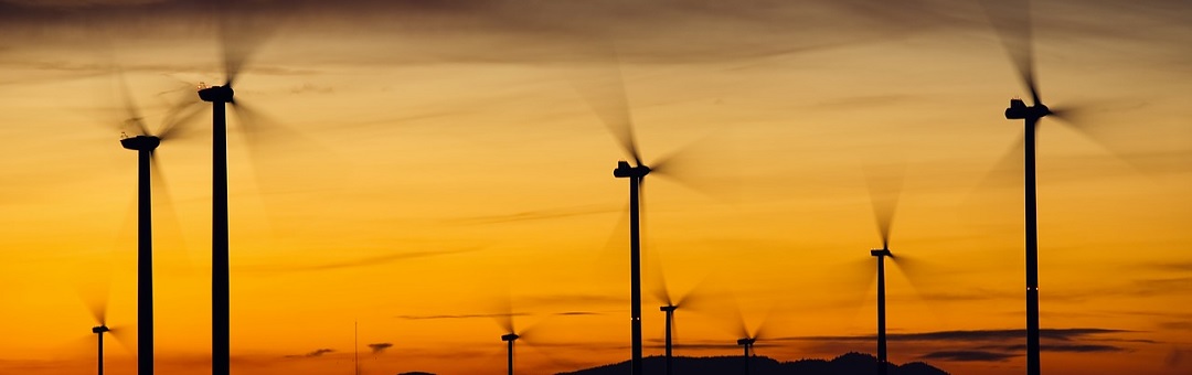 Windparken krijgen miljoenen per dag om géén stroom te produceren. En wie betaalt de rekening?