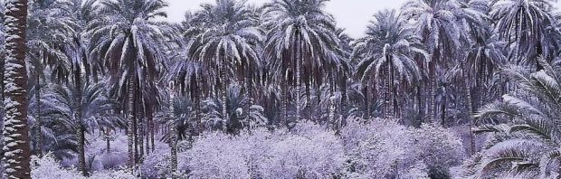 Irakezen verbijsterd door uiterst zeldzame sneeuwval. Hier is voor het eerst in ruim een eeuw sneeuw van betekenis gevallen