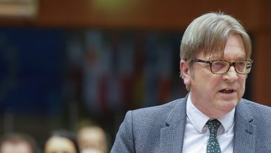 guy verhofstadt