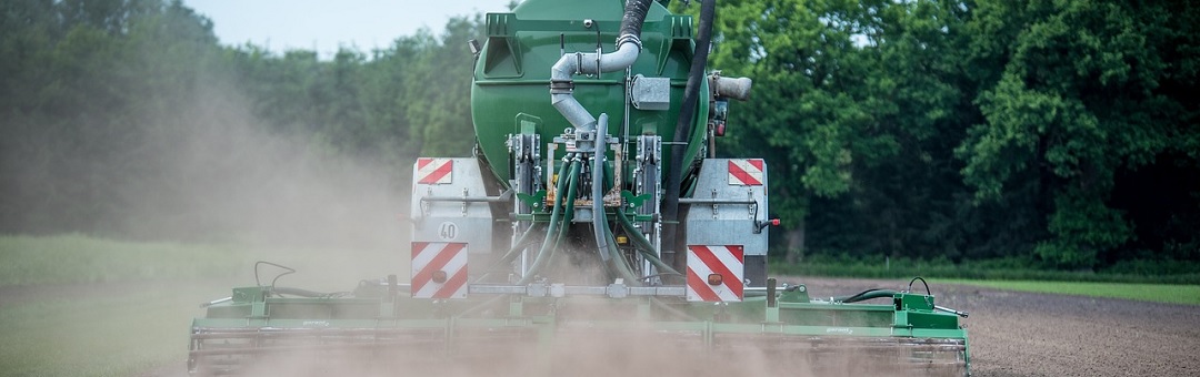 Nederlands boerenbeleid is ‘puur wanbeleid’. Maatregelen zorgen juist voor meer stikstofuitstoot