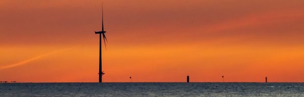 Vele honderden bomen gekapt bij Borssele vanwege windpark. Dit vinden de lokale bewoners ervan