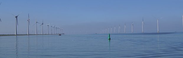 Het is echt van de zotte! Meer dan 1000 bomen gekapt voor 5 windmolens: ‘De burger pikt dit niet’