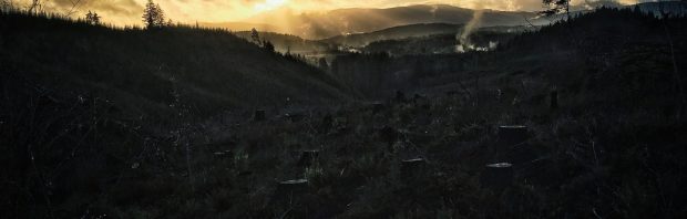 Nederlandse klimaatbeleid heeft het landschap in de VS volledig verwoest. ‘Totale waanzin en misdadig’