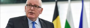 timmermans