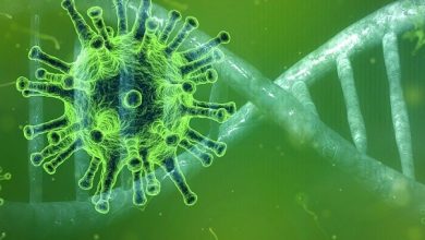 coronavirus