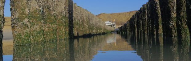 NOS-weerman Gerrit Hiemstra (pas op, de zeespiegel stijgt!) ‘koopt perceel aan het water’