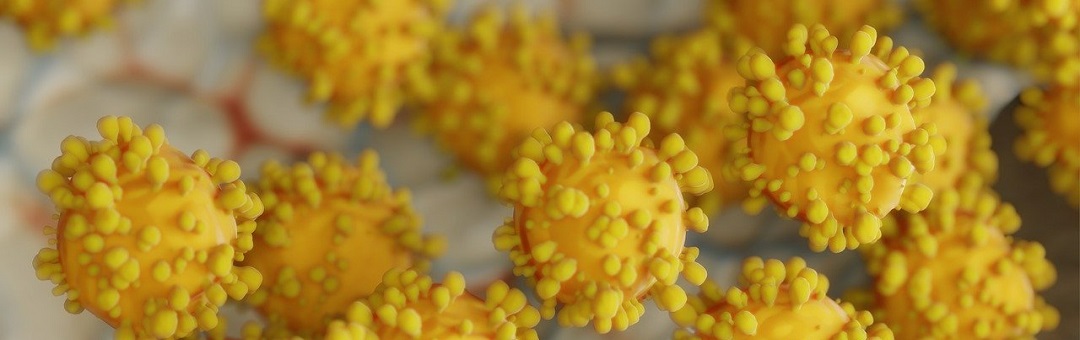 Documaker Janet Ossebaard gaat viraal met film Covid-19: ‘Hier is mee gehannest. Dit is geen normaal virus’