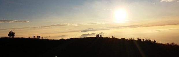 Hoe de zon vanaf eind april in 1 uur bijna alle coronavirussen doodt