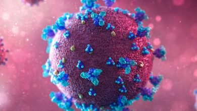 coronavirus