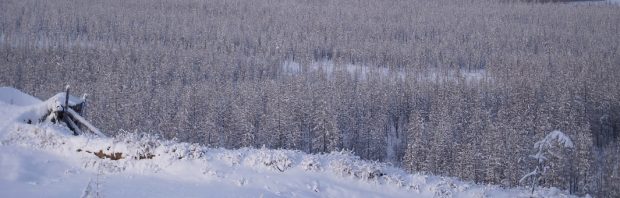 NOS: 38C in Siberië, warmt keihard op! Ondertussen in Siberië: ongewoon koud, sneeuw in juli