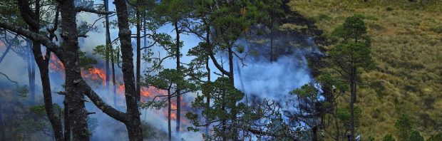 NOS: Weer recordtemperaturen in Siberië! NOS krijgt geschiedenisles