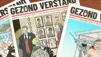 gezond verstand