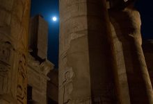 egyptenaren