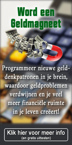 Financieel Succes