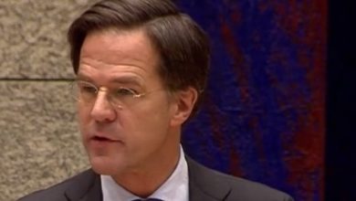 rutte