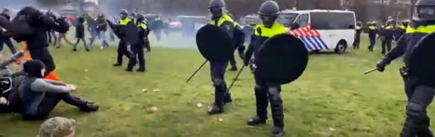 Ein weiterer Hilferuf, nun aus den Niederlanden: Stoppt diesen Wahnsinn!