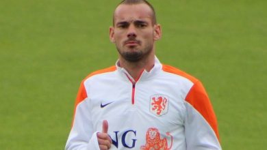 sneijder