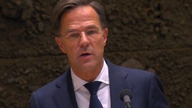 rutte