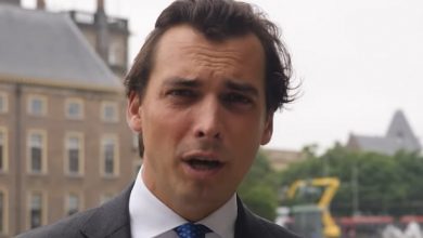 baudet