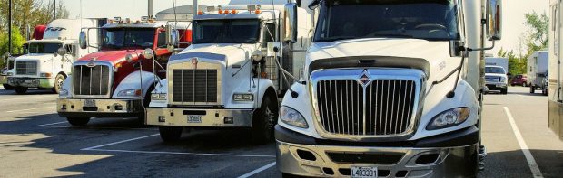 Trucker strömen zum kanadischen Parlament: „Es ist Zeit aufzuwachen, es ist Zeit zu handeln“.