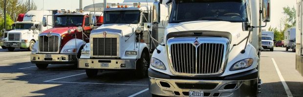 Truckers reizen massaal af naar Canadese parlement: ‘Het is tijd om wakker te worden, het is tijd voor actie’