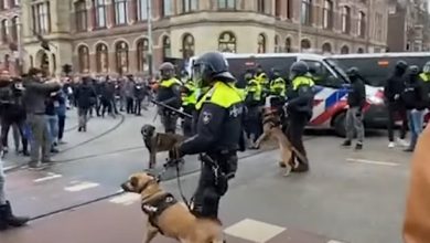 politie